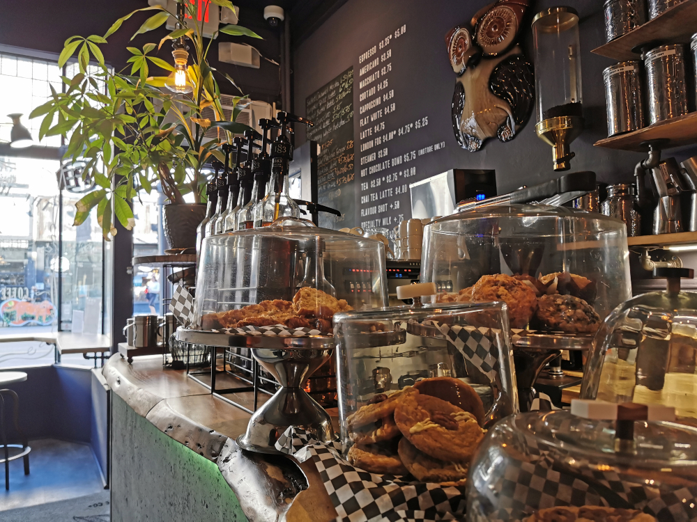 The Wired Owl Coffee Company