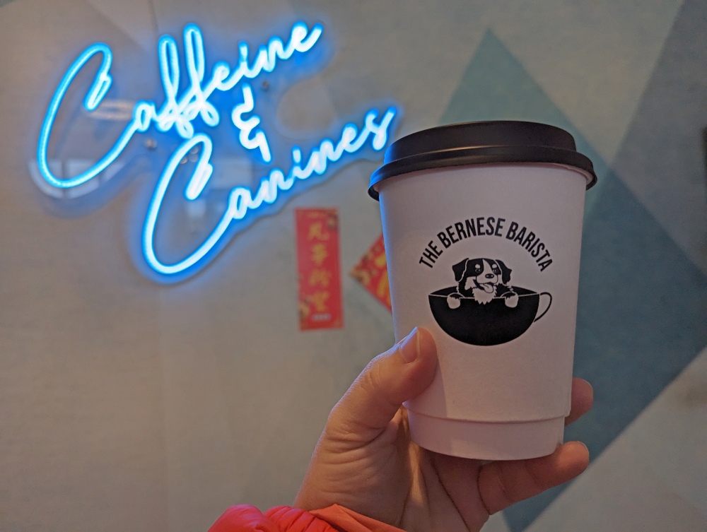 cup of coffee with Bernese dog on it at The Bernese Barista